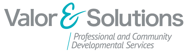 Valor & Solutions logo