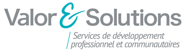logo de Valor et Solutions
