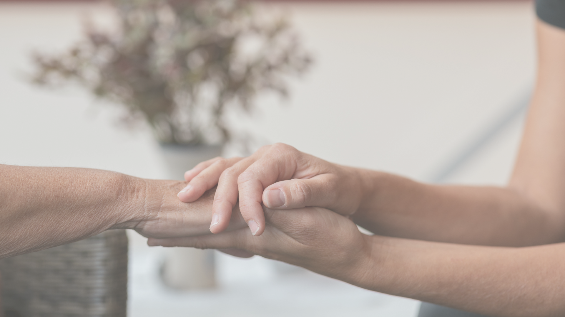 Close up of hands holding eachother