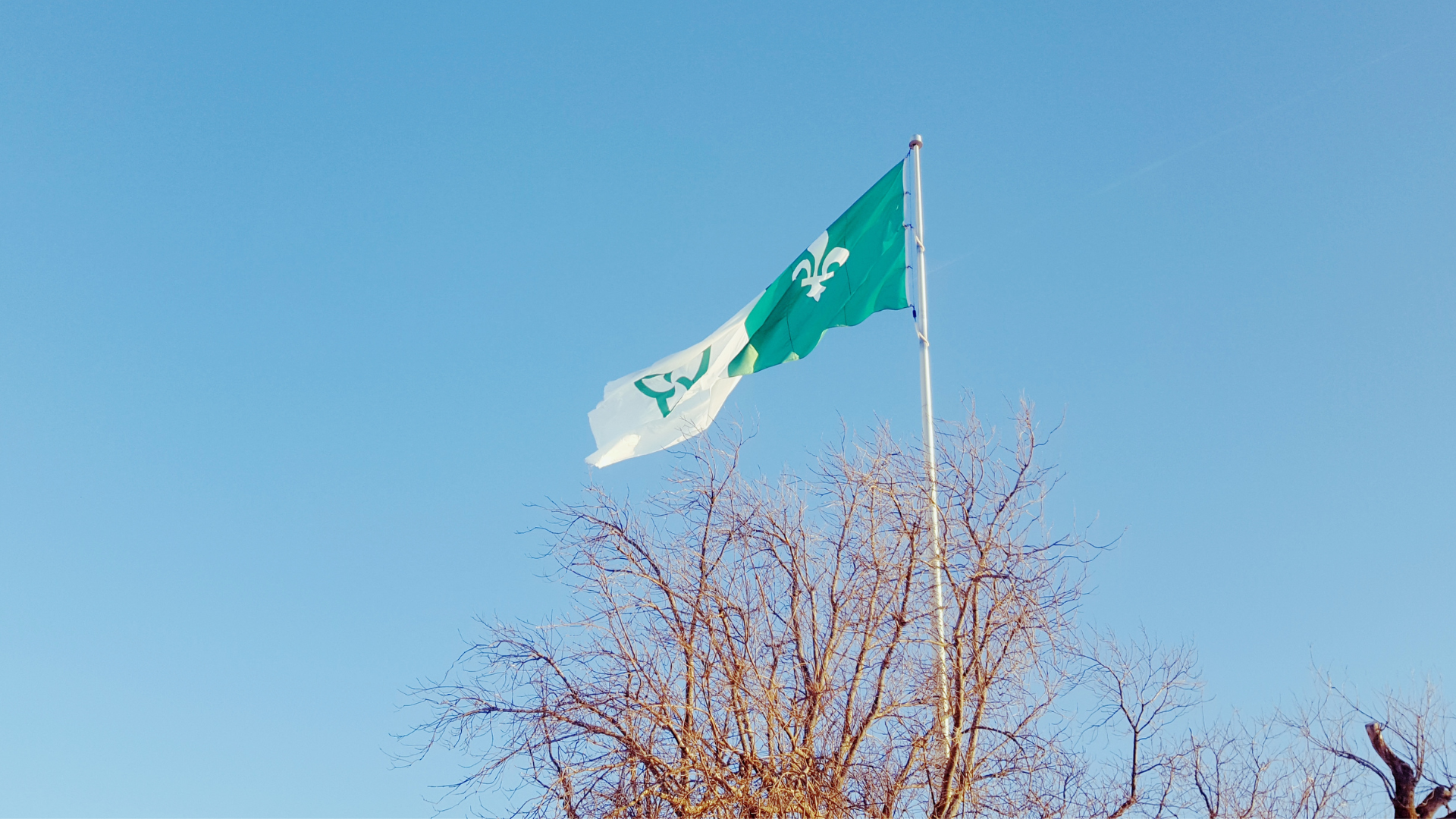 Vue en contre-plongée du drapeau franco-ontarien flottant au vent